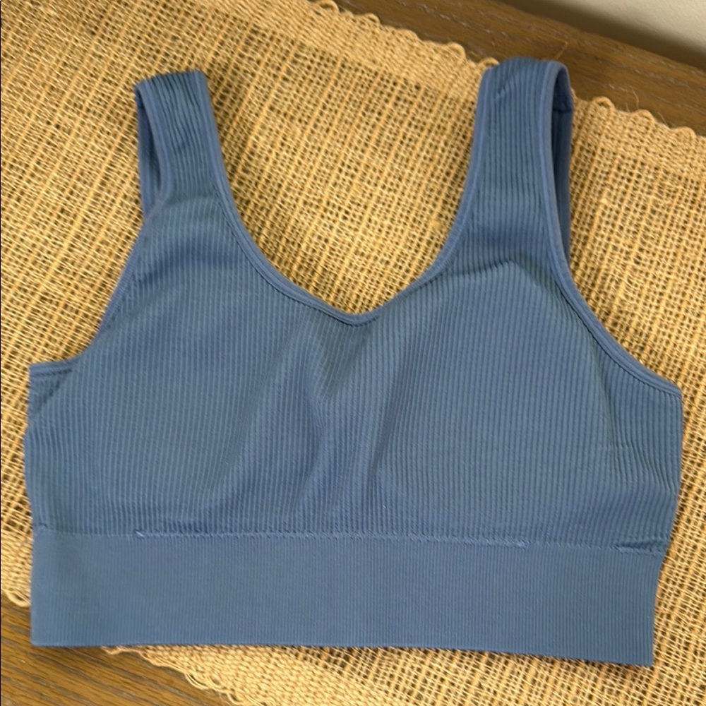 Aerie Blue Scoop Neck Bra with Wide Straps